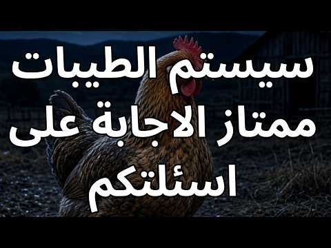 سيستم ممتاز يجب على جميع العالم اتباعه الا قليلا