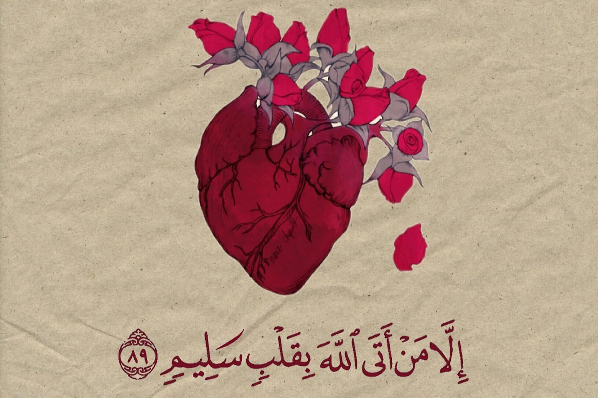 اتباع النور والقلب في "الإيمان "…