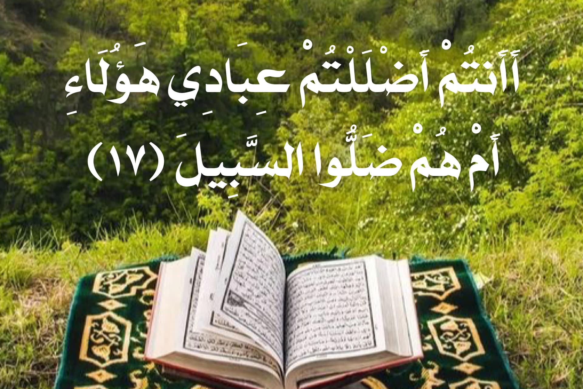 هل المقصود بكلمة عباداً في القرآن الكريم المؤمنين فقط ؟