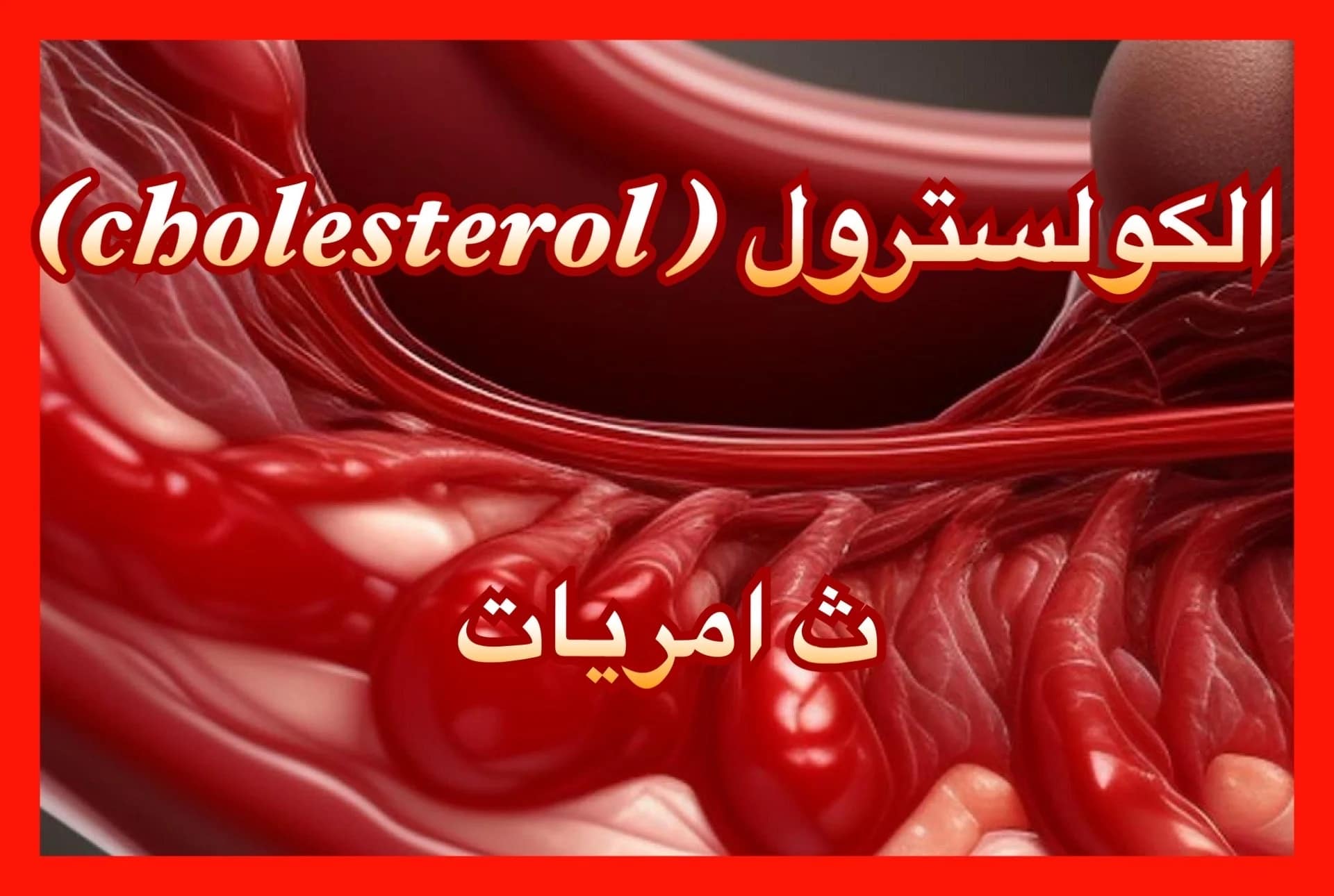 الكولسترول ( cholestérol)