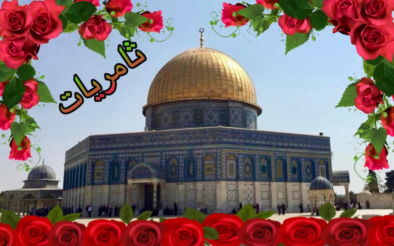 لمغوار الارض المباركة أزهار في عيد الحب